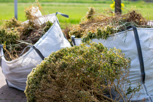 Best Appliance Removal  in Pella, IA