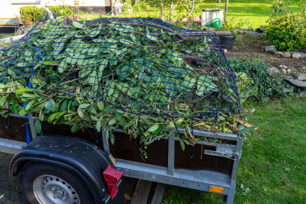 Shed Removal in Pella, IA